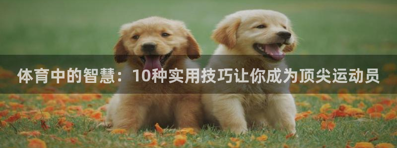 海南米兰体育官网下载:体育中的智慧:10种实用技巧让你成为顶